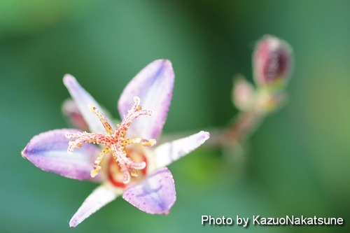 Img_1905_s