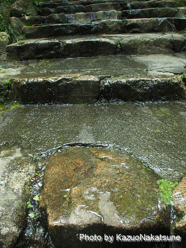 P8020094_s