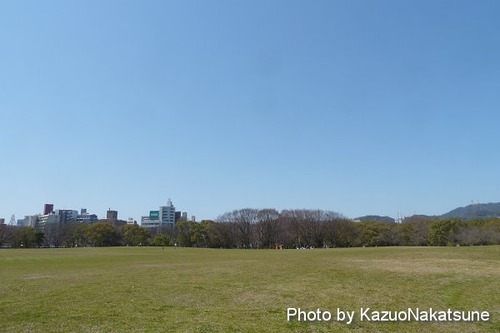 P1040765_s