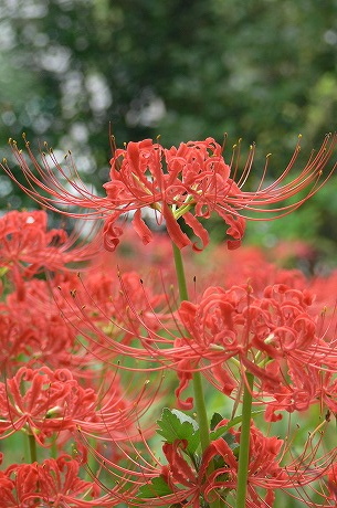 P1040019