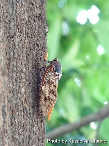 Dsc00303_s