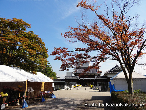DSC01184_s