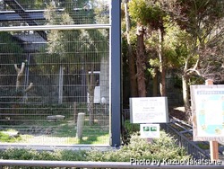 asa_zoo-228