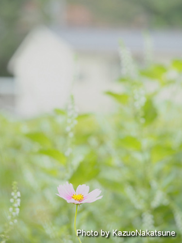 P9230224_s