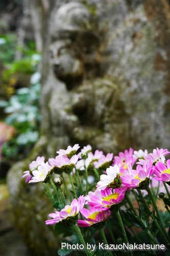 P1030756_s