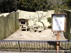 asa_zoo-221