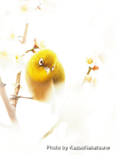 P2180703a_s
