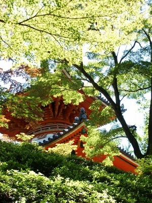 三滝002