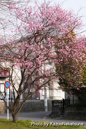 P1030977_s
