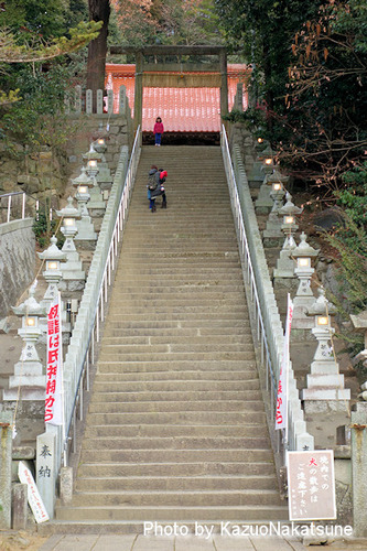 DSC03487_s