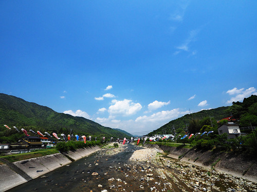 P5023721a_S