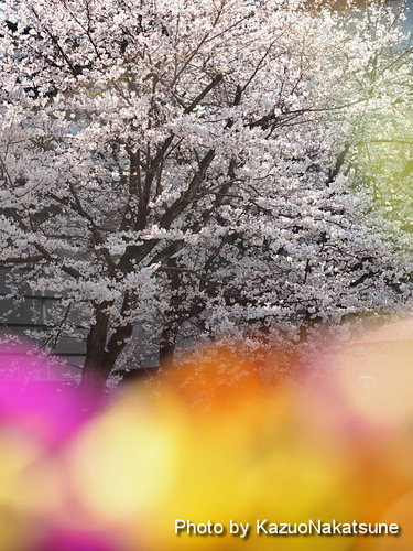 P4030146a_s