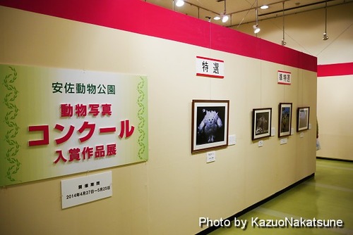 P1040229_s