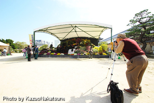 IMG_2304_s