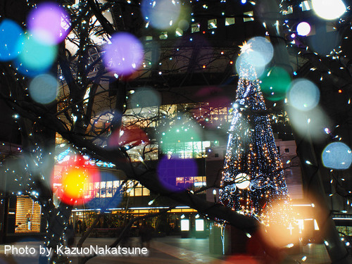 PC080011_s