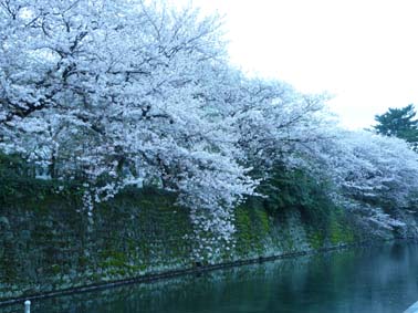 P1050320