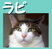 �ܥ�����ӡ�