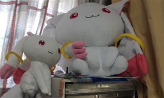 IMAG0126_R