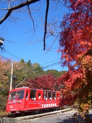 CIMG5633