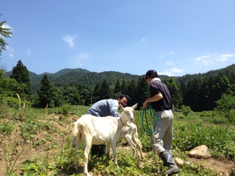 画像1