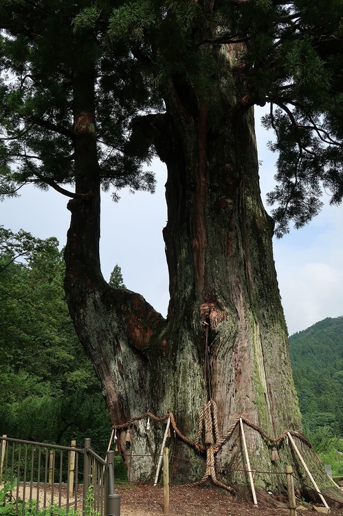 縮小IMG_2316