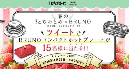 栃木とちおとめ0425