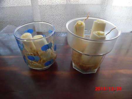 再生追加1228小