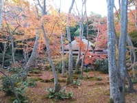 祇王寺_2018_11 (4)