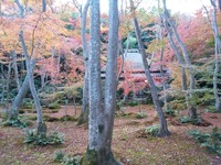 祇王寺_2018_11 (8)
