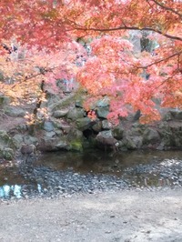 奈良公園 (2)