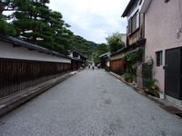 醒ケ井の梅花藻 (5)