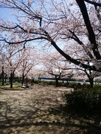 大川 (7)