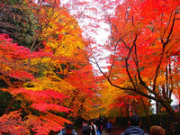 長岡京_光明寺 (28)