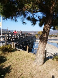 嵐山_2018_11 (3)