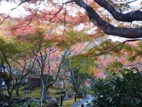 檀林寺 (12)
