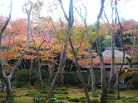 2017嵐山 (29)