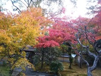 檀林寺 (1)