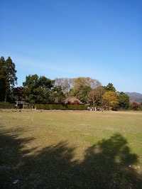 落柿舎_2018 (2)
