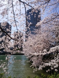 佐保川 (2)