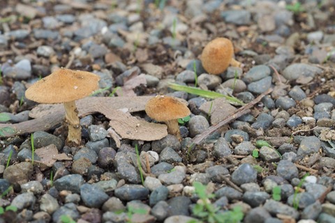P9240252