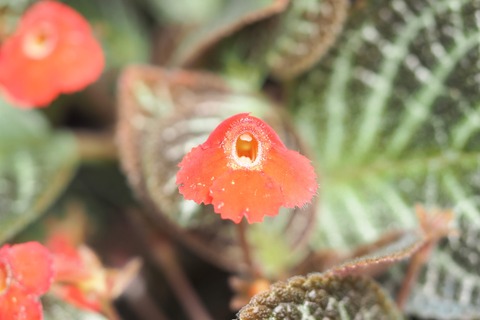 P9240224