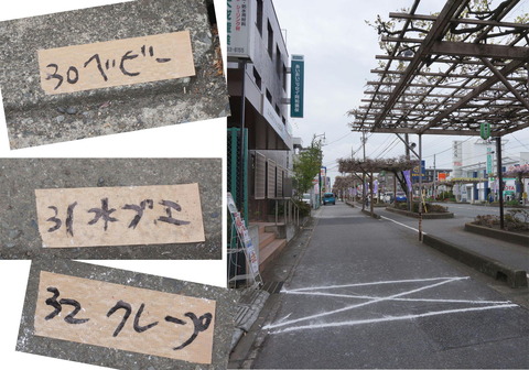 露店 割り付け
