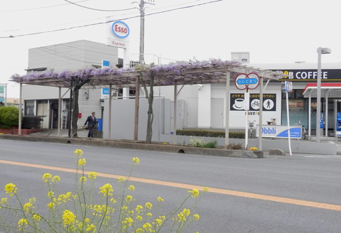 ドトール前