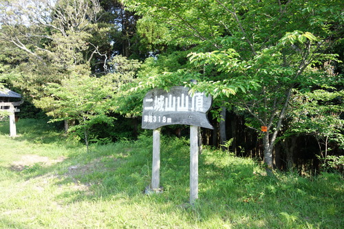 DSC01447