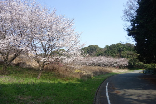 DSC00958
