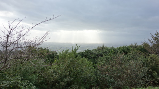DSC03830