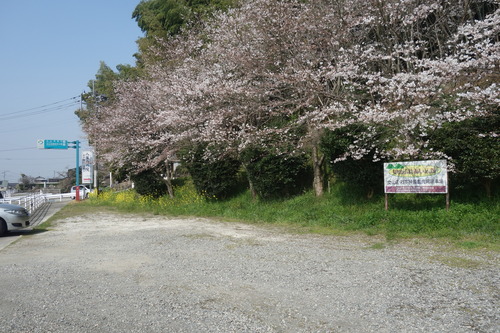 DSC00946