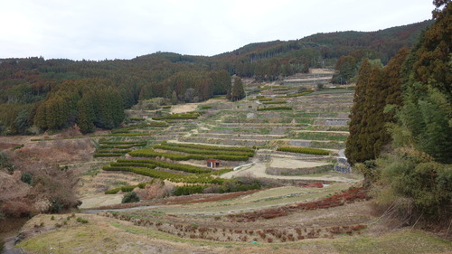 DSC09812