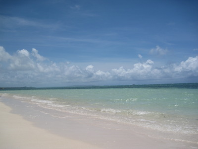 Picture 011