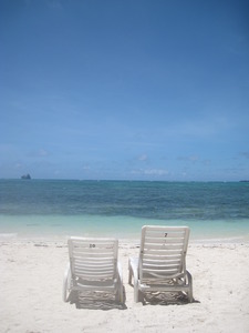 Picture 010